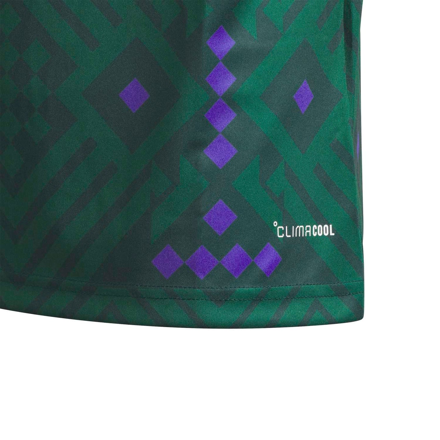 Arabia Saudita 2026 Local Camiseta - Juvenil