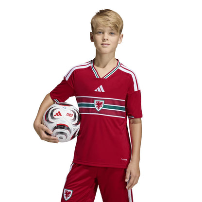 Gales 2026 Local Camiseta - Juvenil