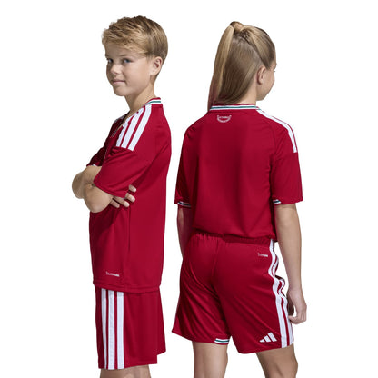 Gales 2026 Local Camiseta - Juvenil