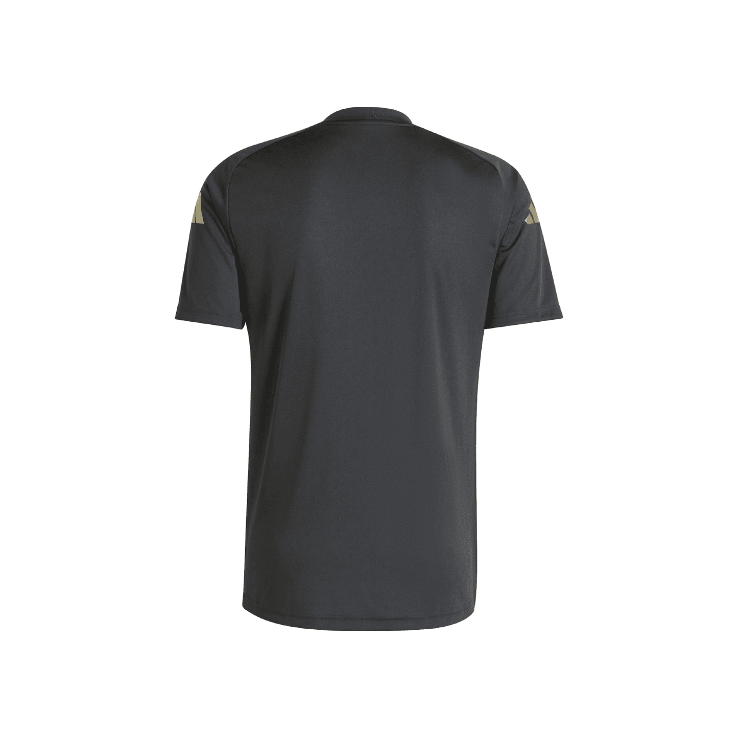 Argentina 2024 Camiseta Calentamiento - Hombre