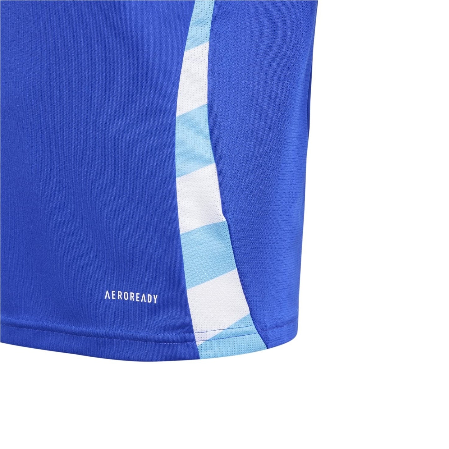 Argentina 2024 Camiseta Visitante - Juvenil
