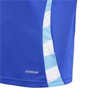 Argentina 2024 Camiseta Visitante - Juvenil