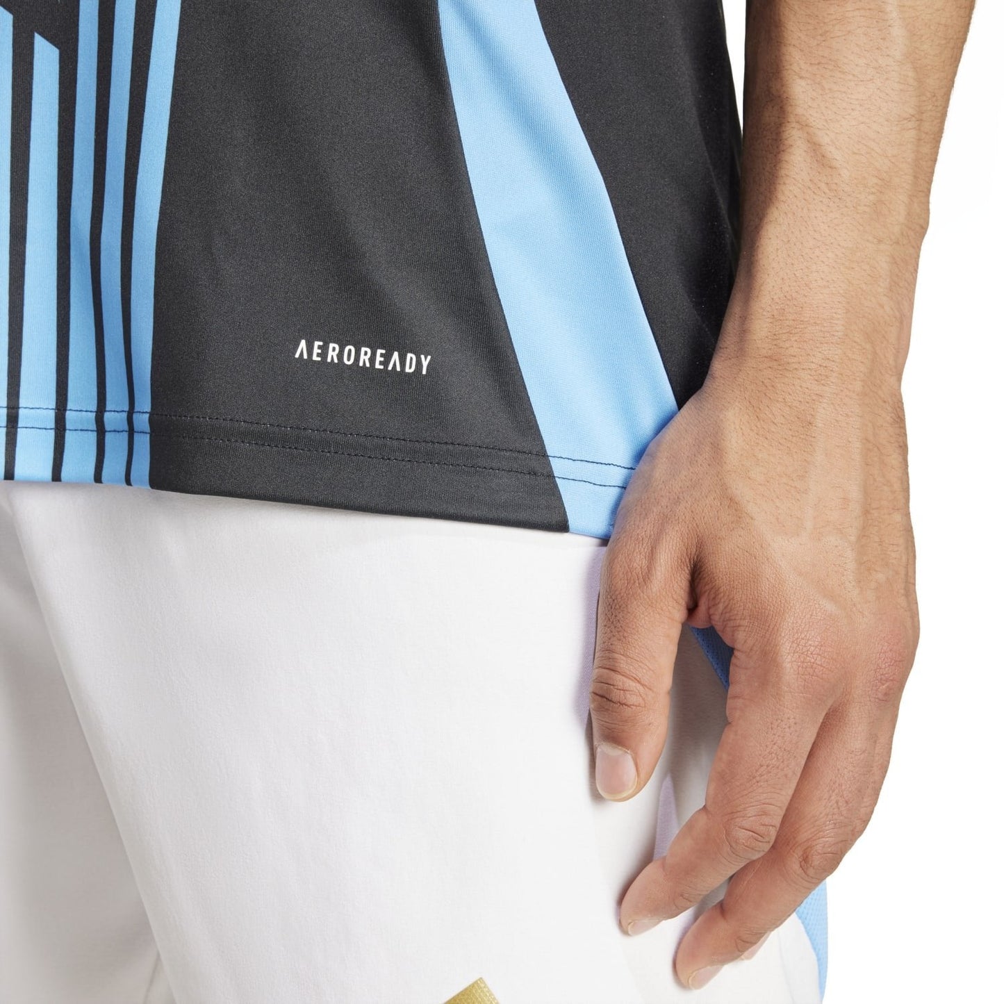 Argentina 2024 Camiseta Calentamiento - Hombre