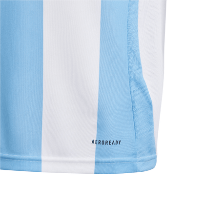 Argentina 2024 Camiseta Local - Juvenil